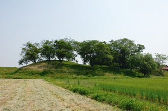 蛭田富士山古墳.jpg