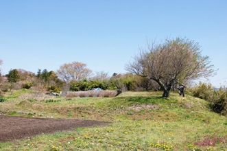 佐良土館跡.jpg