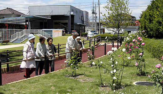 近所の人たちが公園を訪れている画像