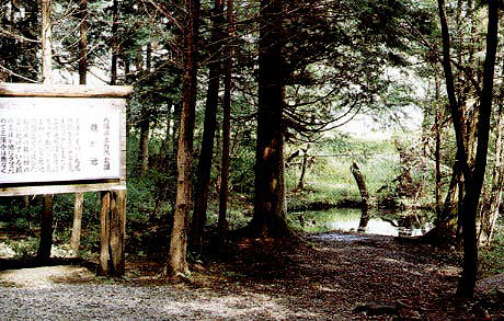 玉藻稲荷神社