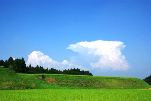 夏の風景 大田原市