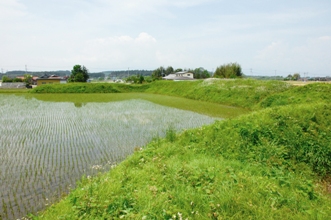 水口居館跡.jpg