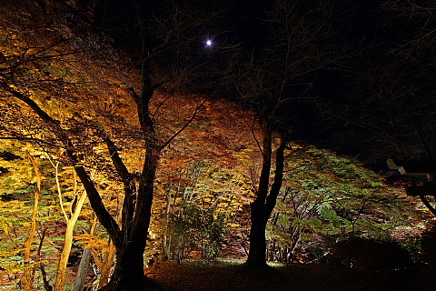 御殿山夜景