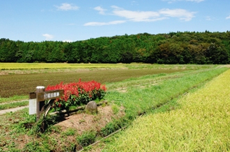 片府田館跡.jpg