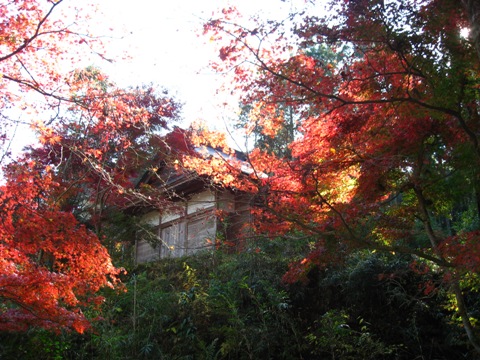 玄性寺の紅葉