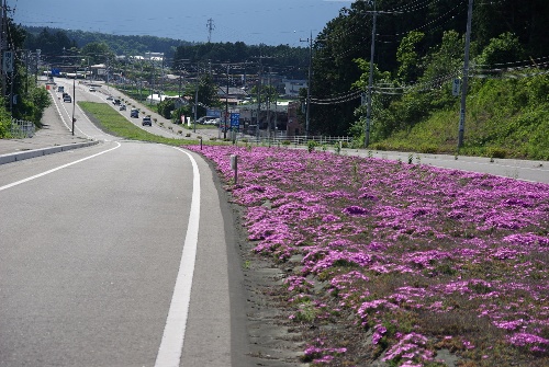 奥沢バイパスの画像