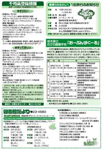 【13ページ】