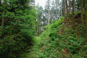 白旗城跡（本城山）.jpg