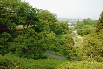 佐久山城跡.jpg