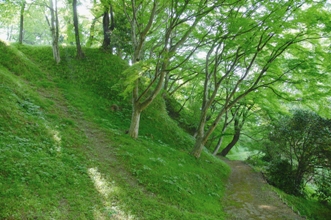 佐久山城跡2.jpg