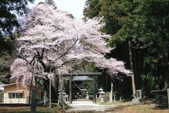 おくのほそ道（那須神社境内）.jpg