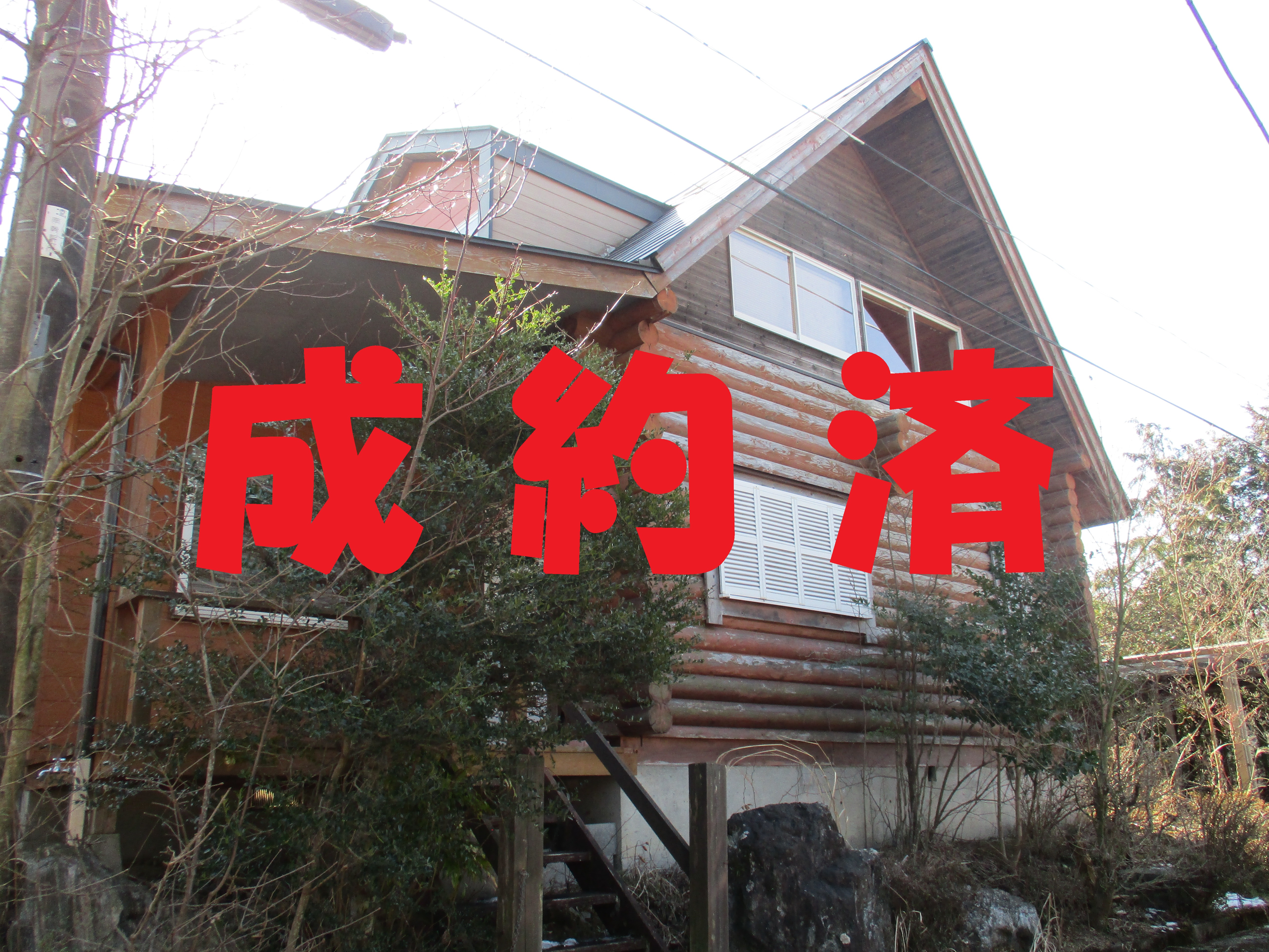 画像の説明