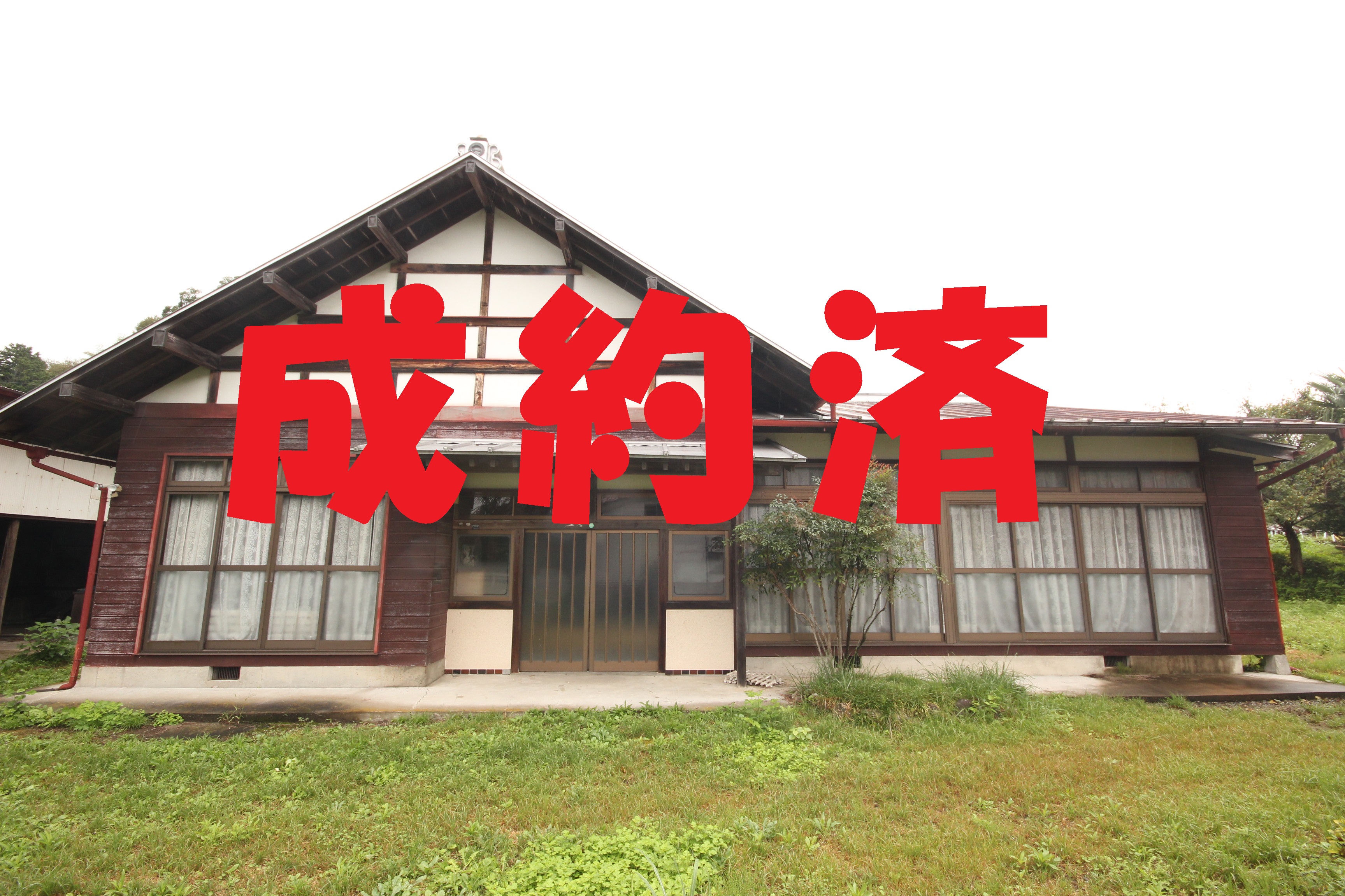 画像の説明