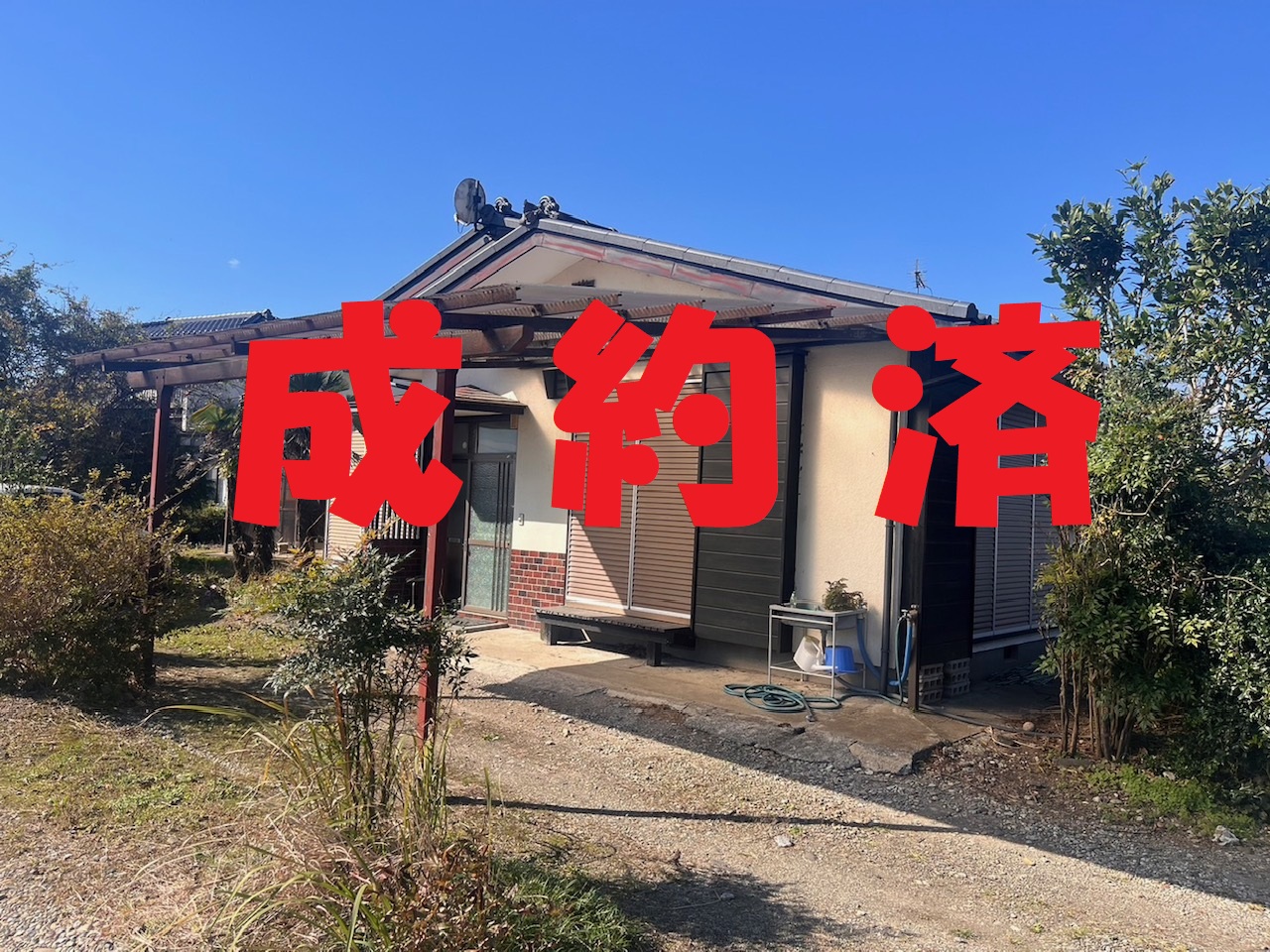 画像の説明