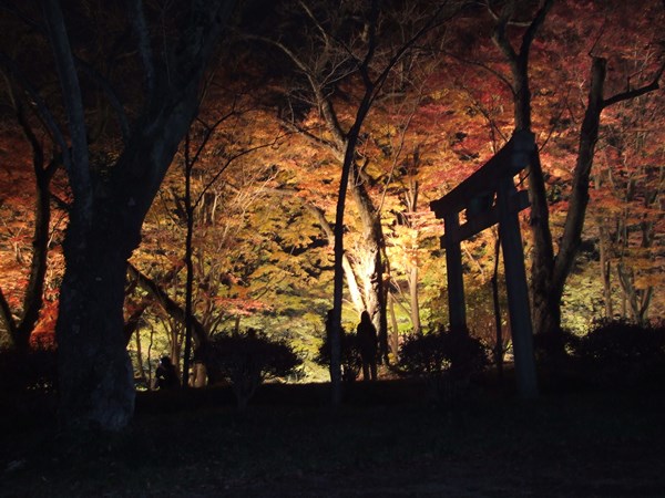 御殿山紅葉まつり
