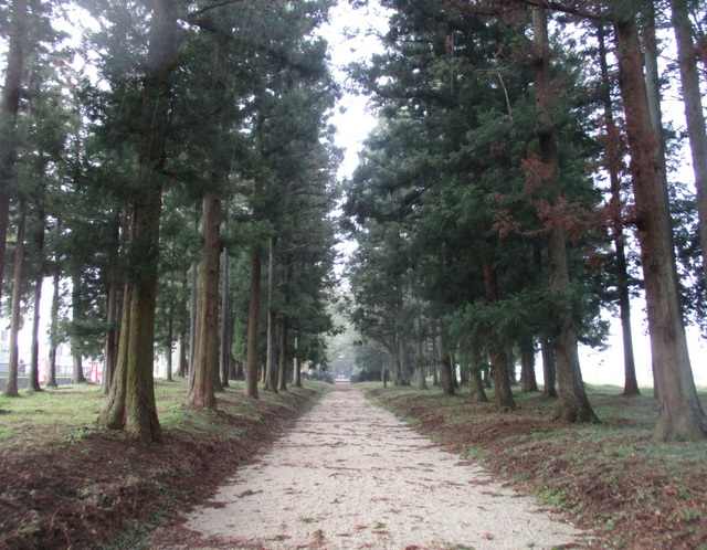 那須神社の杉並木