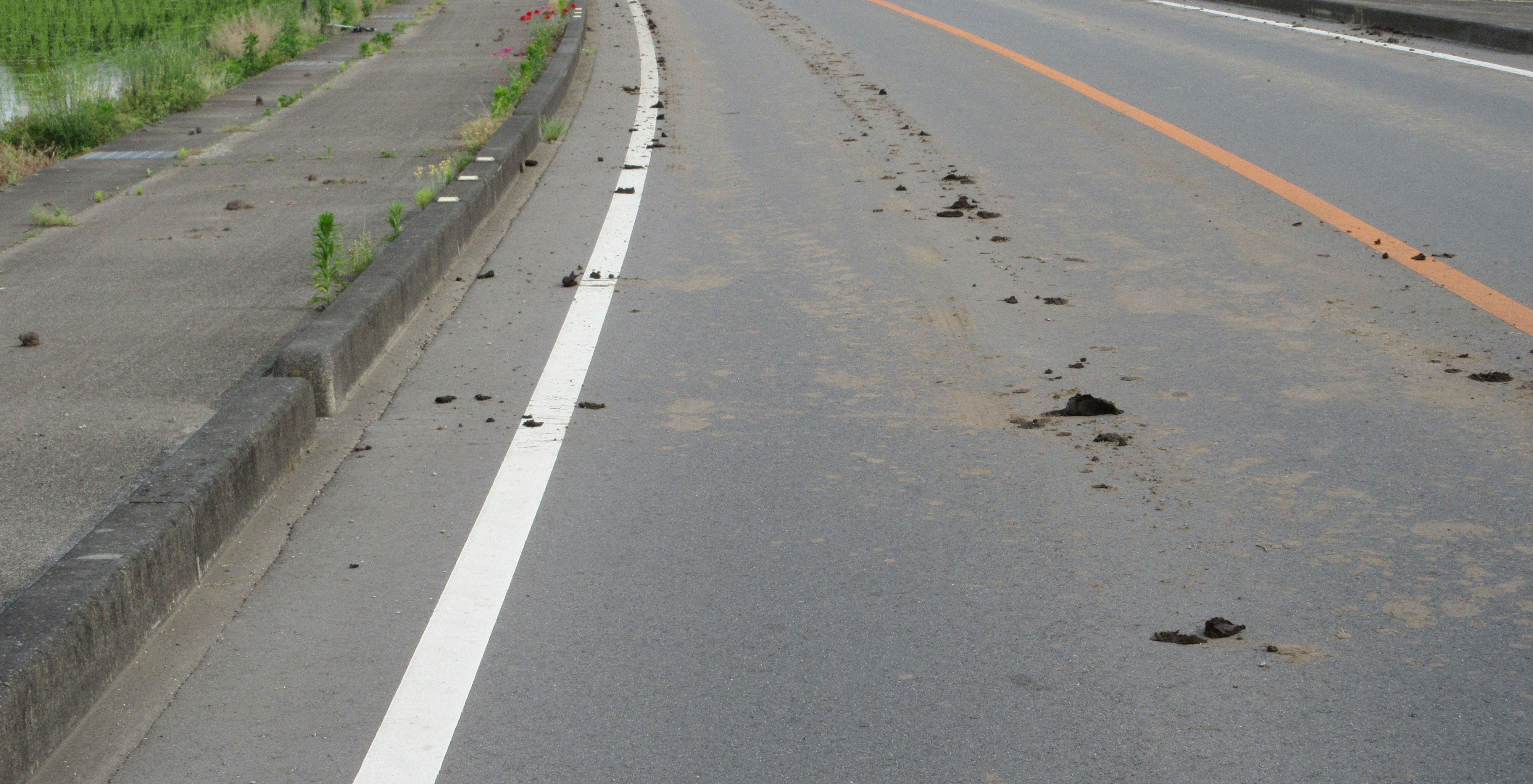 道路汚損の状況