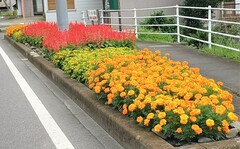 須佐木上 須佐木上