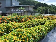 須賀川上