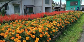 須賀川下 須賀川下