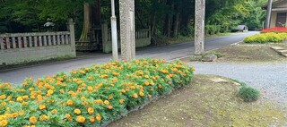 雲岩寺 雲岩寺