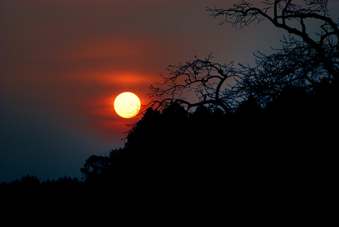 田園の夕景