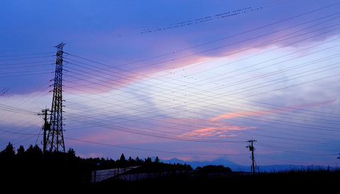 夕暮れ時の電線